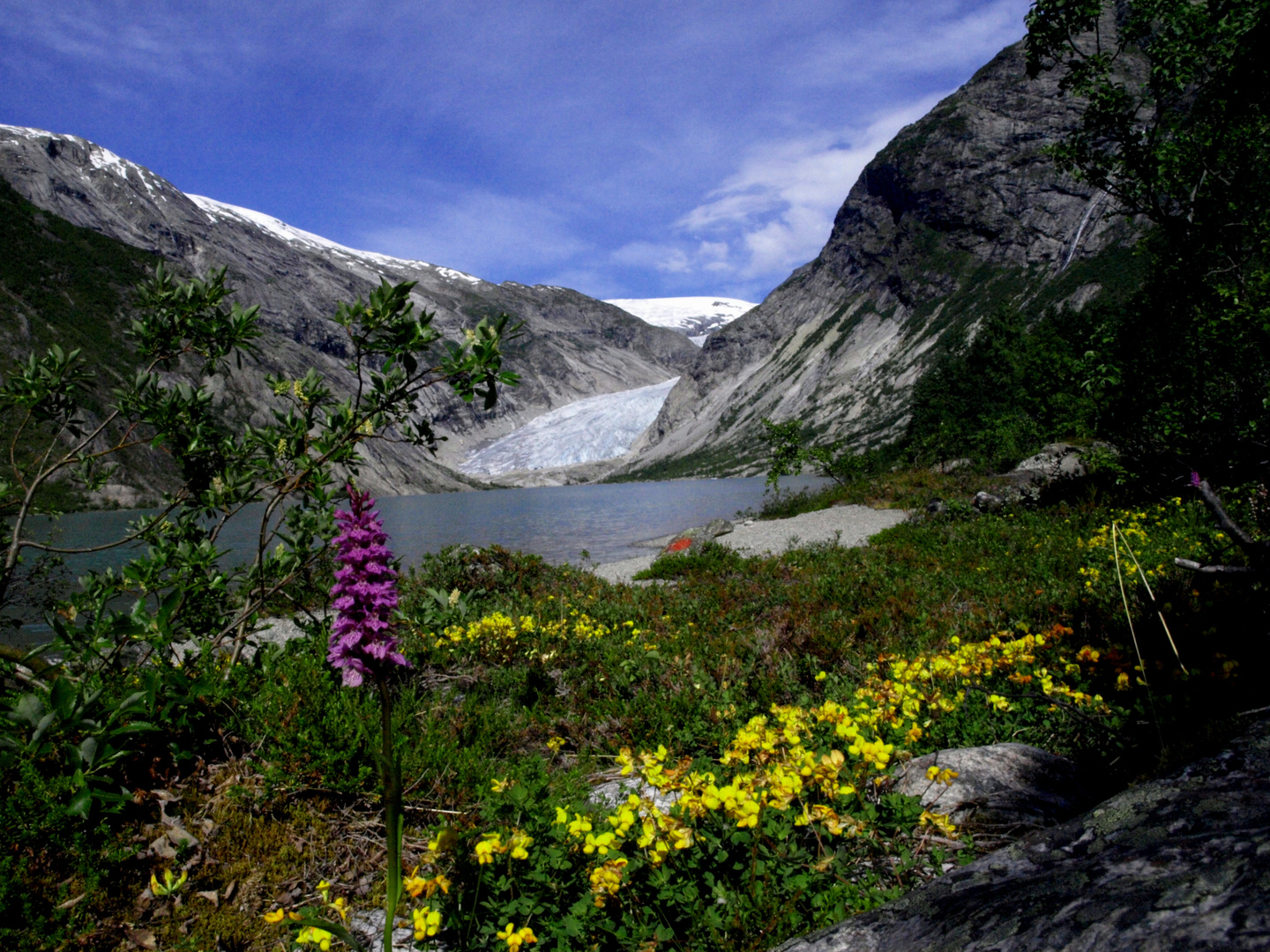 gletscher