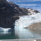 Gletscher + Eisscholle