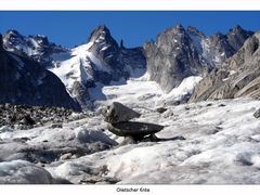 Gletscher Ente