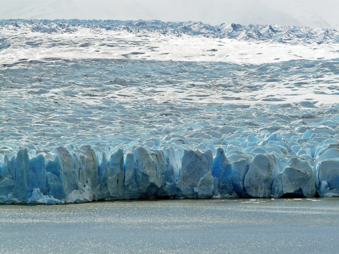 Gletscher Grey frontal