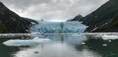 Gletscher im Garibaldi Fjord