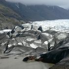 Gletscher im Skaftafell Nationalpark