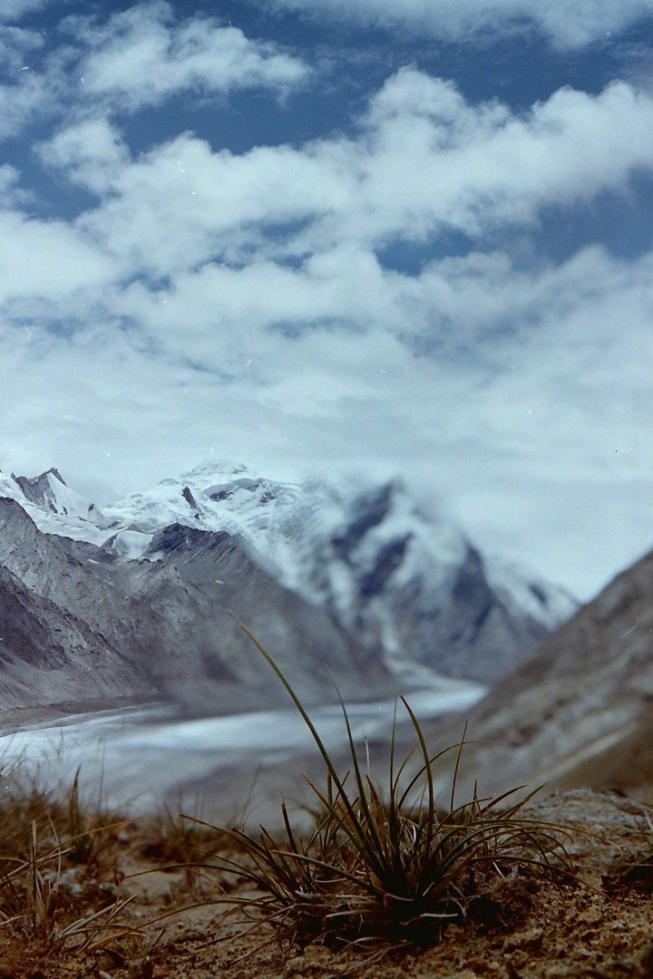 Gletscher in Ladak