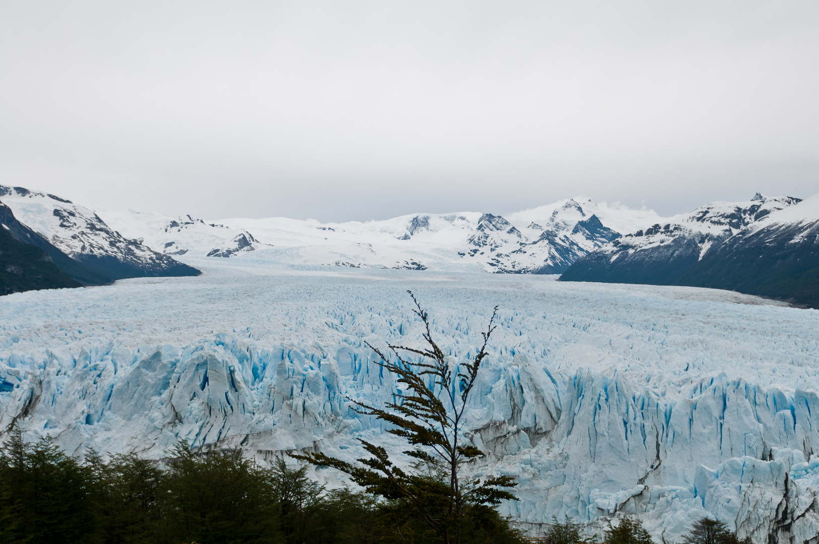 Gletscher Moreno 3