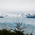 Gletscher Moreno 3