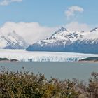 Gletscher Moreno 4