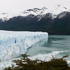 Gletscher Moreno