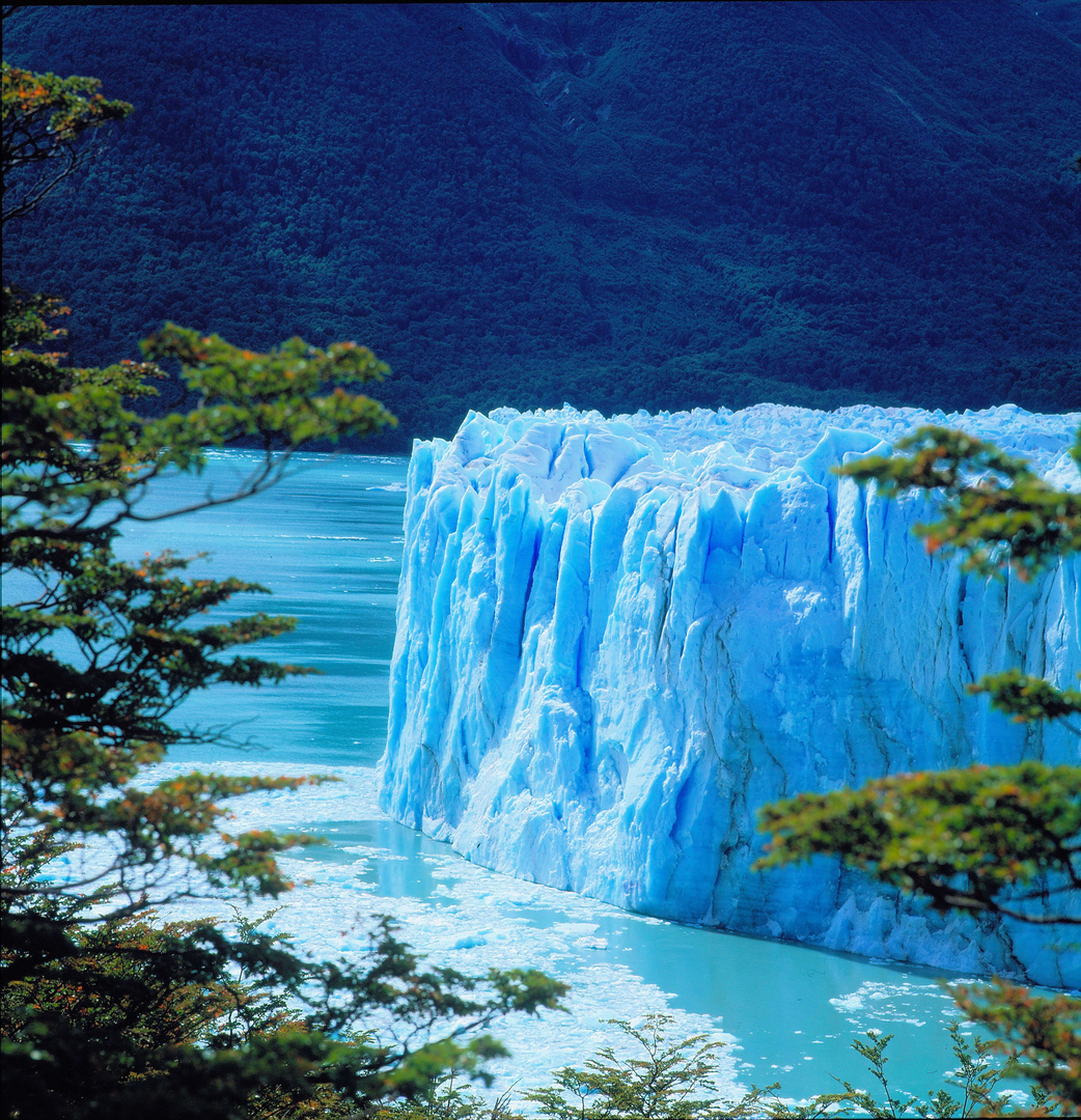 Gletscher Moreno