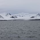 Gletscher und Fjord