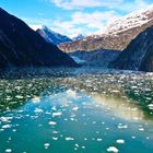 Gletscher und Meer