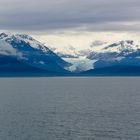 Gletscher und Meer