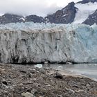 Gletscher zum anfassen