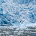 Gletscherabbruch: Und stetig schrumpft das Eis...