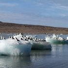 Gletscherabbrüche vom 14.Juli-Gletscher