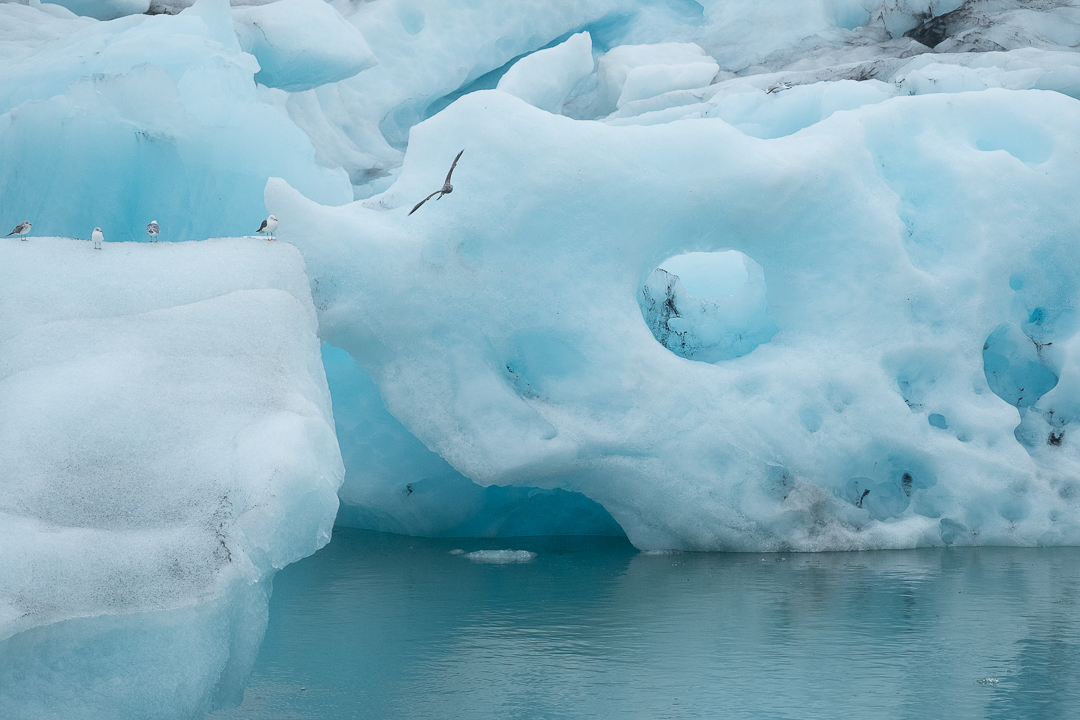 Gletscherbucht Jökulsarlon