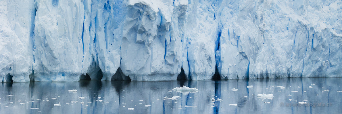 Gletscherkante Nekoharbour