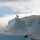 Gletscherlagune Jökulsárlón  -13- (Island)