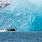 Gletscherlagune Jökulsarlon-2