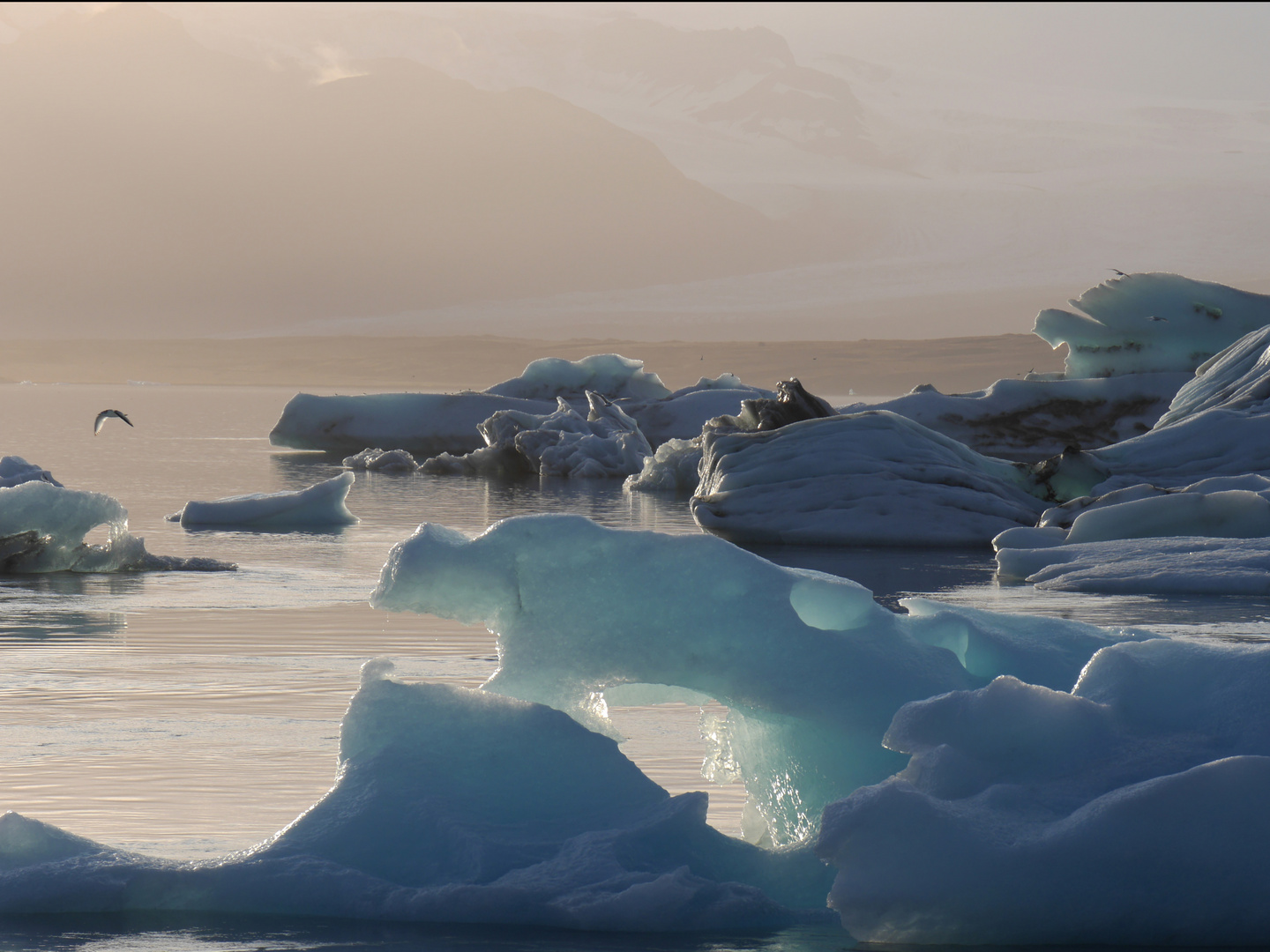 Gletscherlagune Jökulsárlón