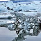 Gletscherlagune Jökulsarlon, Island   - 1 -