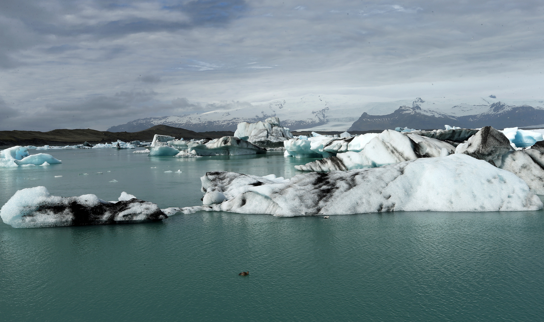 Gletscherlagune Jökulsárlón (Island)  -4-