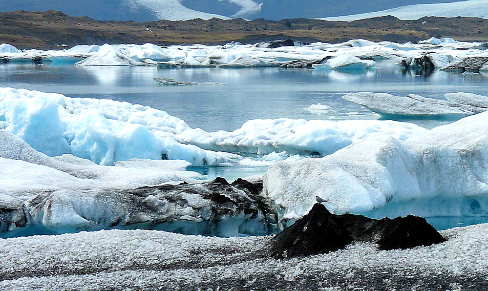 Gletscherlagune Jökulsarlon Island