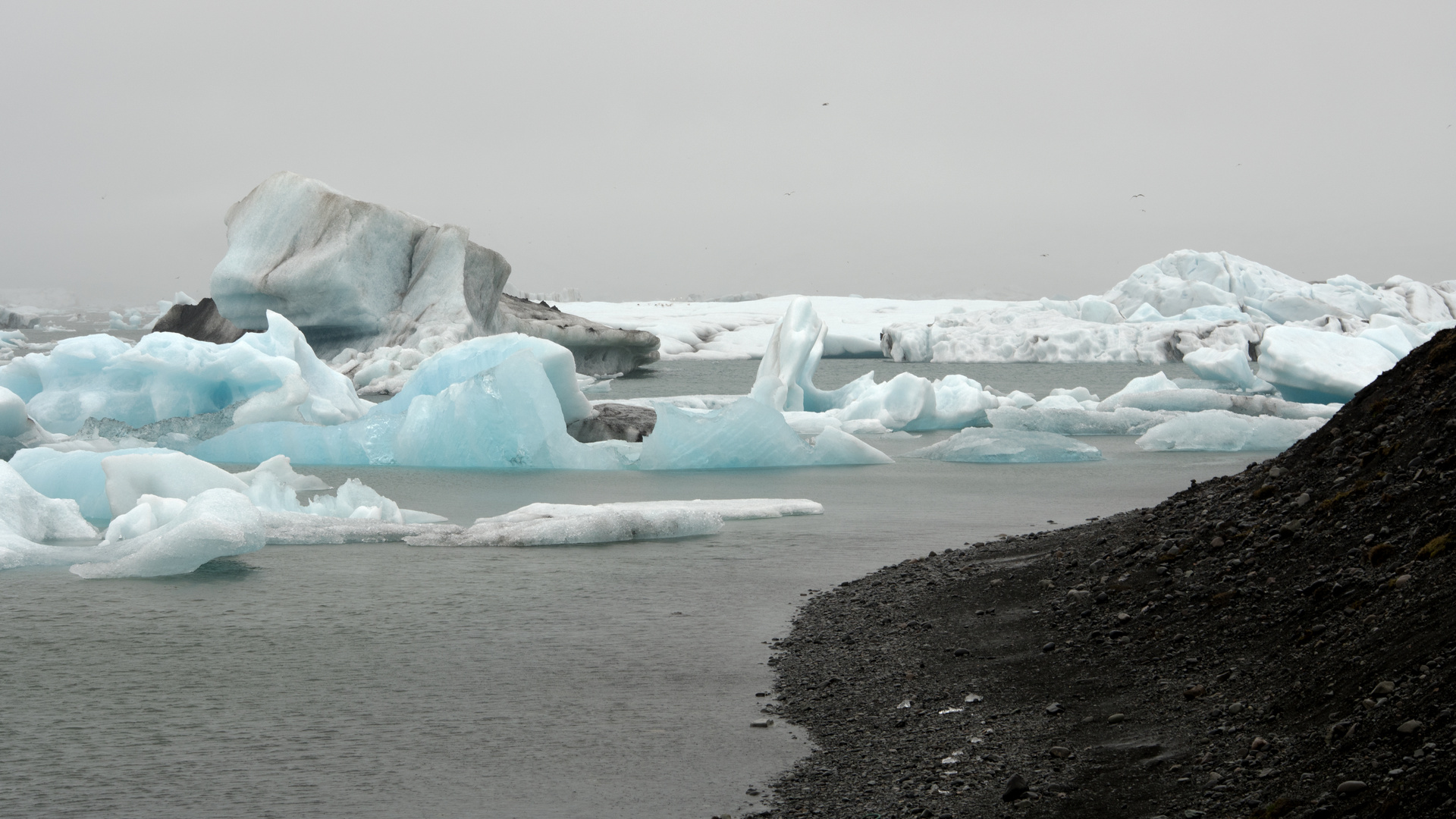 Gletscherlagune Jökulsárlón, Island