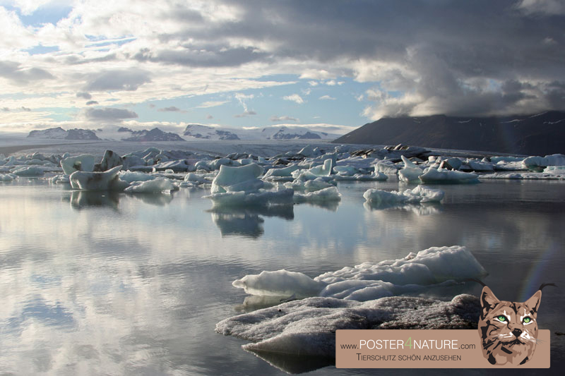 Gletscherlagune Jöulsarlon auf Island