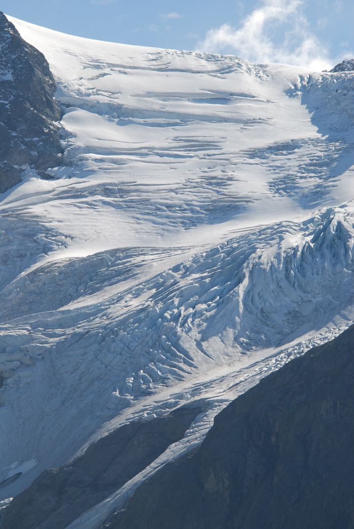 Gletscherschönheit im Berner Oberland