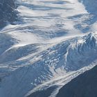 Gletscherschönheit im Berner Oberland