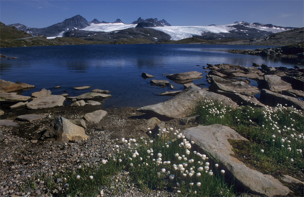 Gletschersee