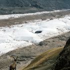 Gletschersee