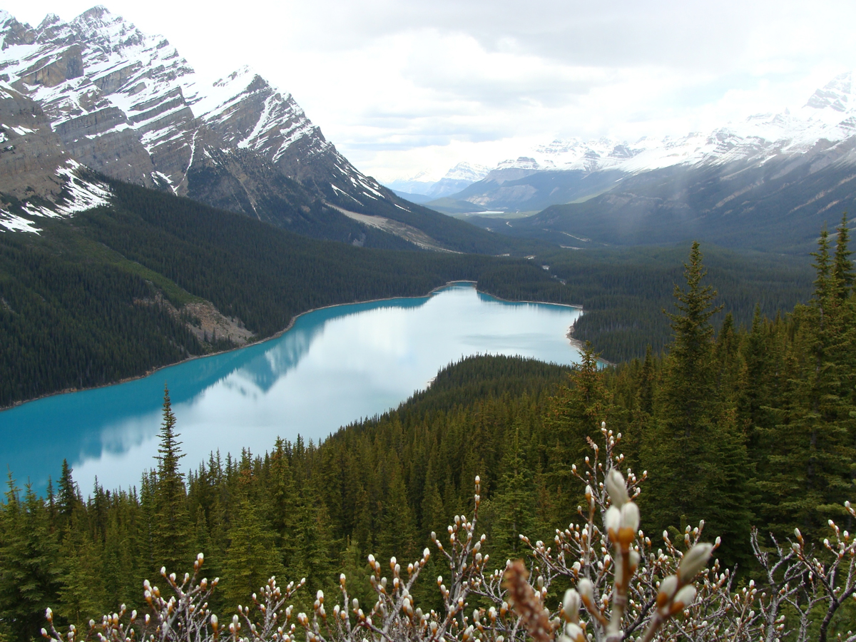 Gletschersee in den Rockies