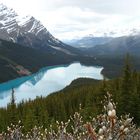 Gletschersee in den Rockies