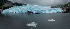 Gletscherzunge am Aialik Glacier in Alaska 