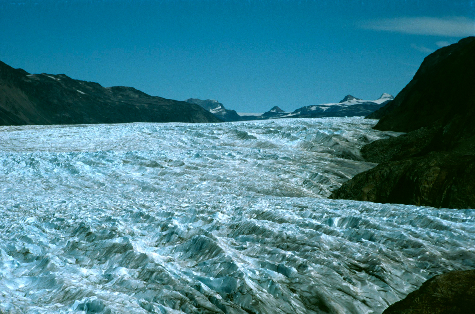 Gletscherzunge bei Narsarsuaq - 1994 (2)