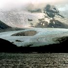 Gletscherzunge bis ans Meer