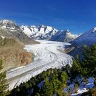 Gletscherzunge im Wallis (Schweiz)