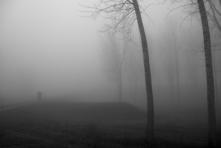 Gli alberi di John Berger -19