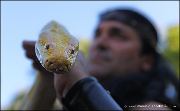 Gli occhi del serpente