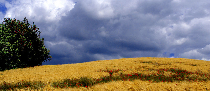 gli orizzonti