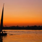 Gliding Over The Nile