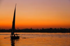 Gliding Over The Nile