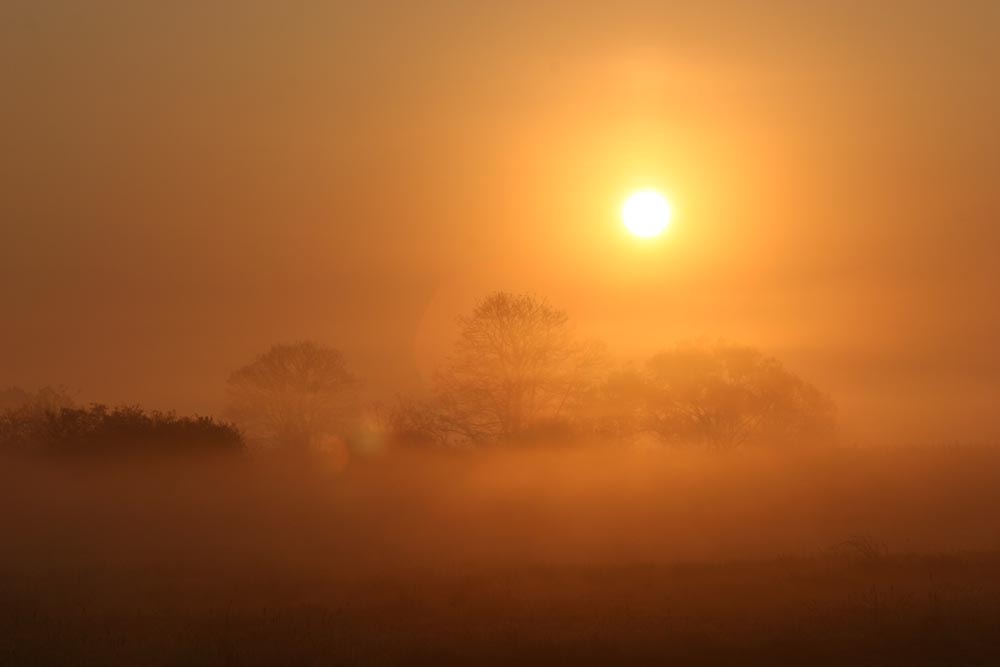 Glienicke-Sonnenaufgang002