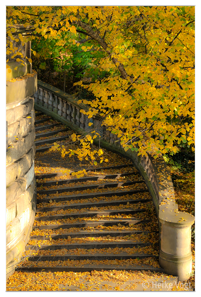 Glienicker Brücke