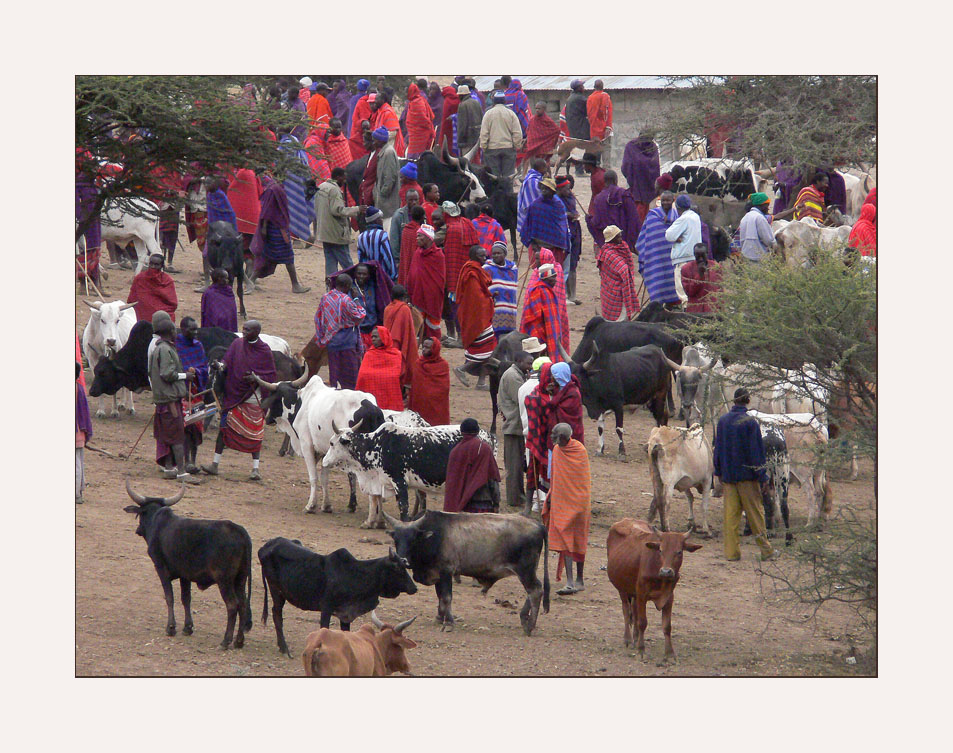 Glimpse at Maasai's Life VI