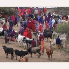 Glimpse at Maasai's Life VI