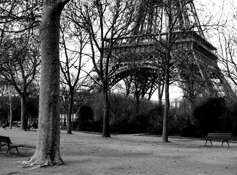 glimpse in paris