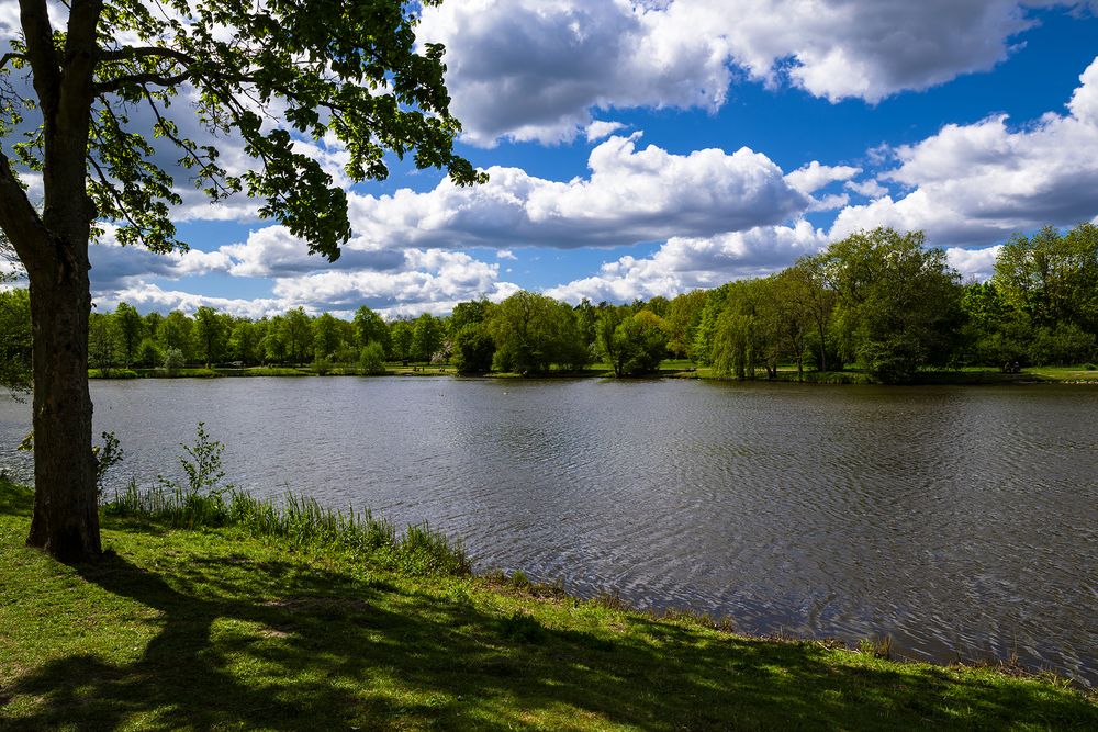 Glinde am Mühlenteich 04