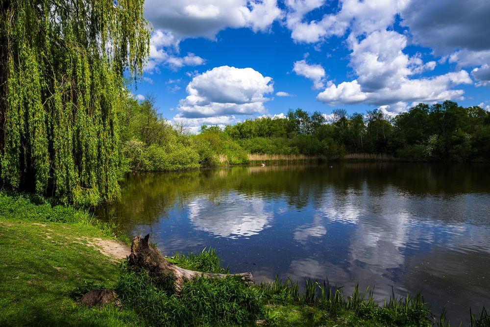 Glinde am Mühlenteich 05